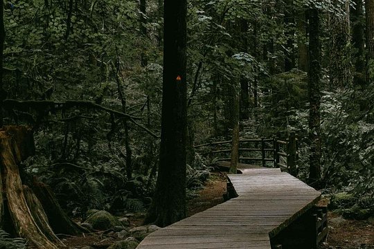 Tour image 8
